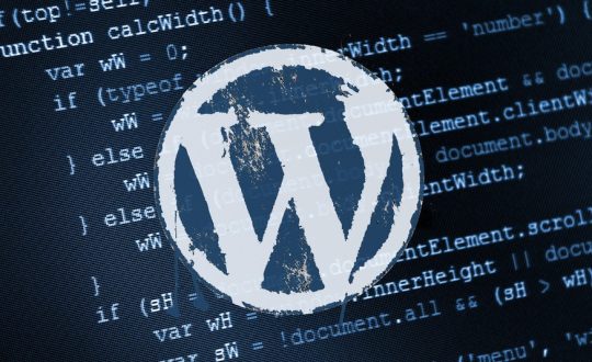 wordpress-code-image